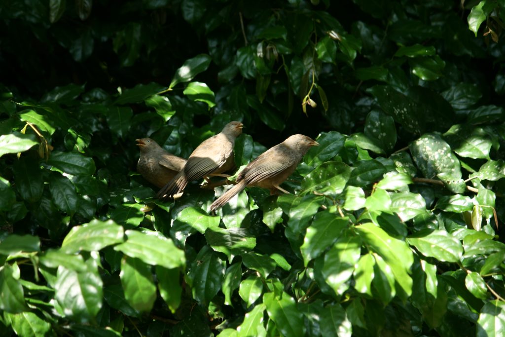 I kept a good distance from these guys but I'm still not sure we're friends.